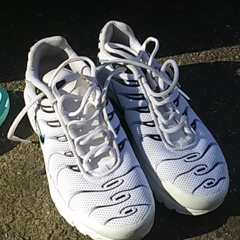 Nike TN Air Sneakers air max